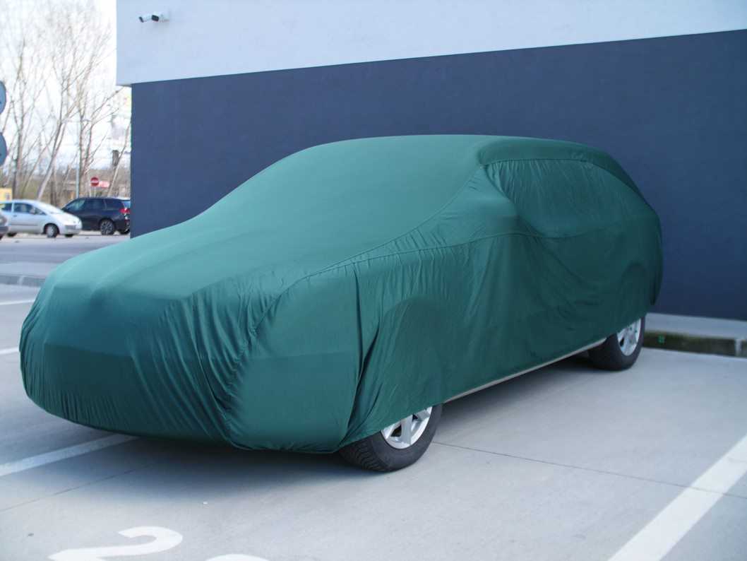 Cosmos, Indoor Car Cover Large (Green)